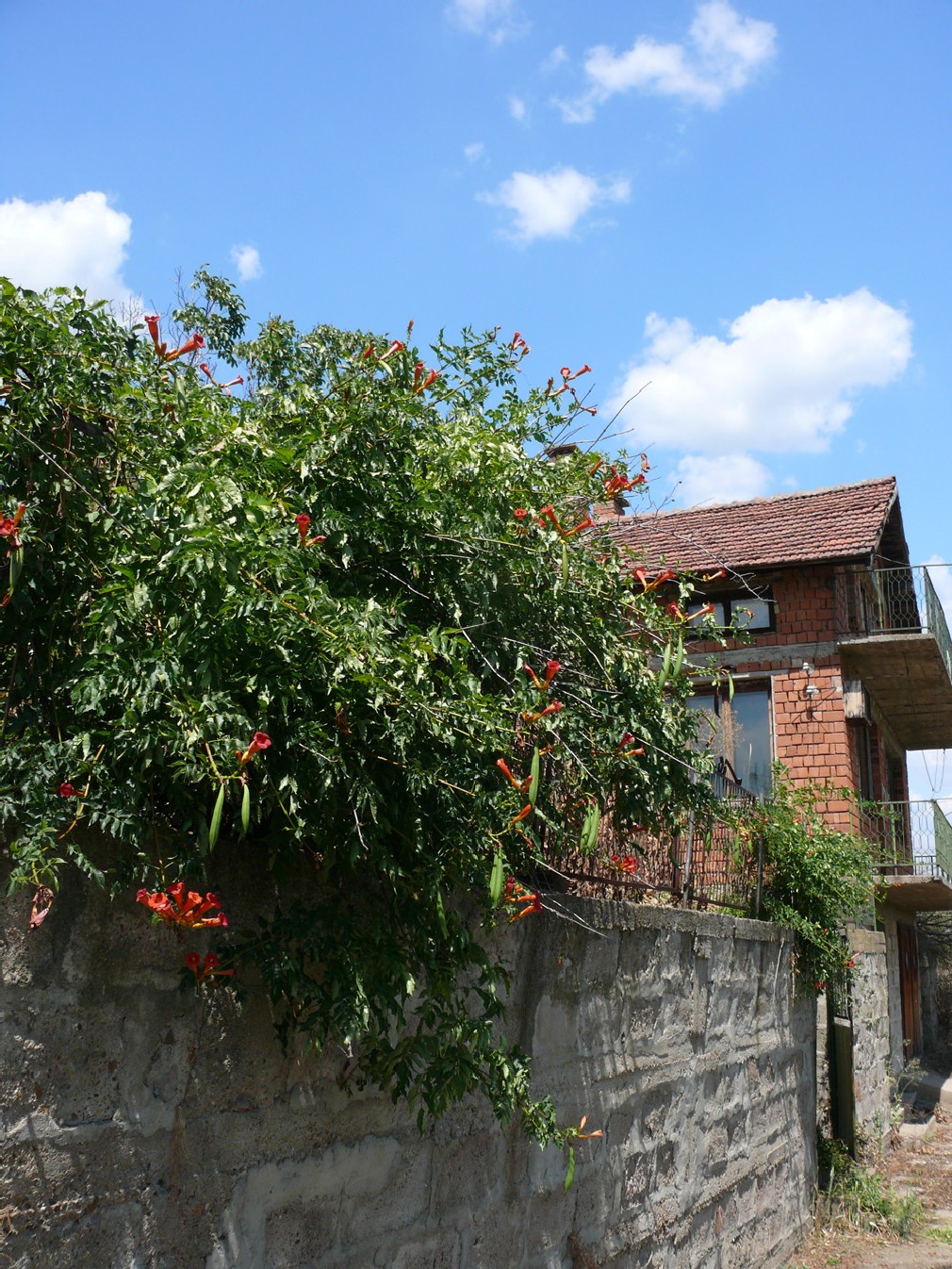 realestateinbulgaria