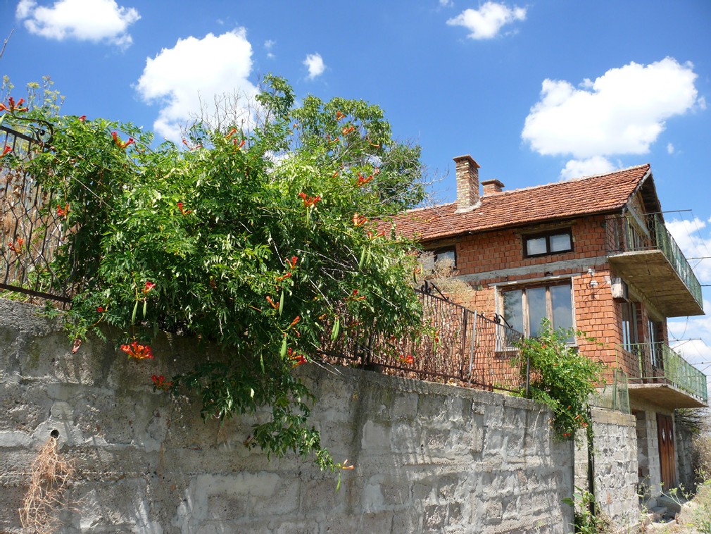 realestateinbulgaria