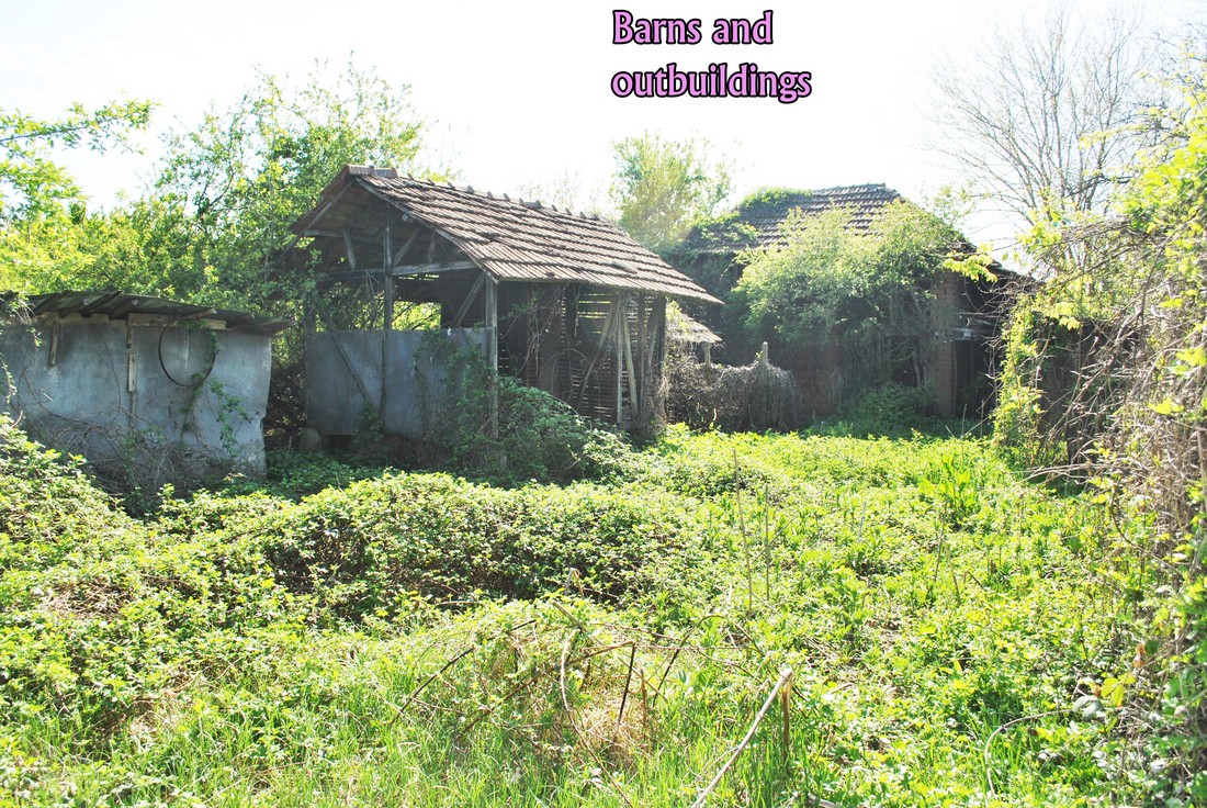 realestateinbulgaria