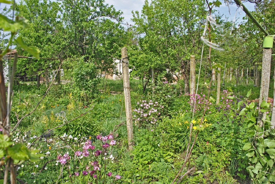 realestateinbulgaria