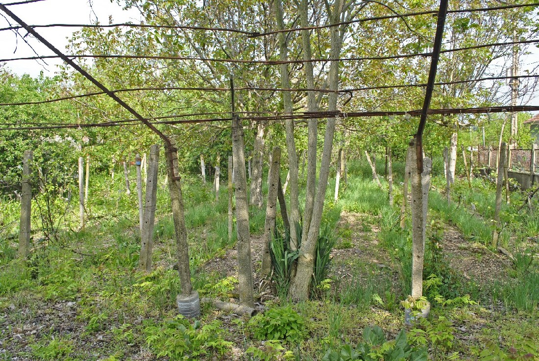 realestateinbulgaria