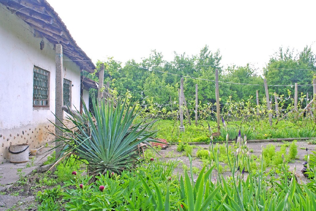 realestateinbulgaria