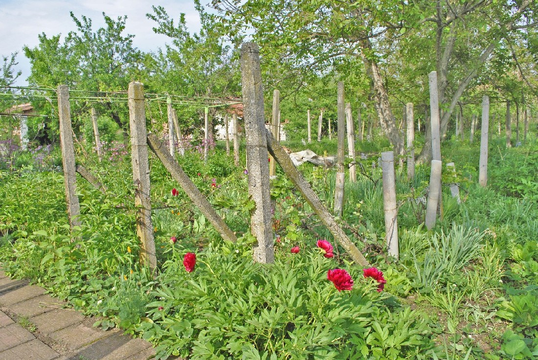 realestateinbulgaria