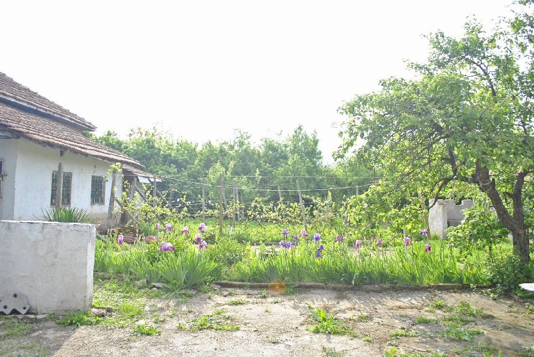 realestateinbulgaria