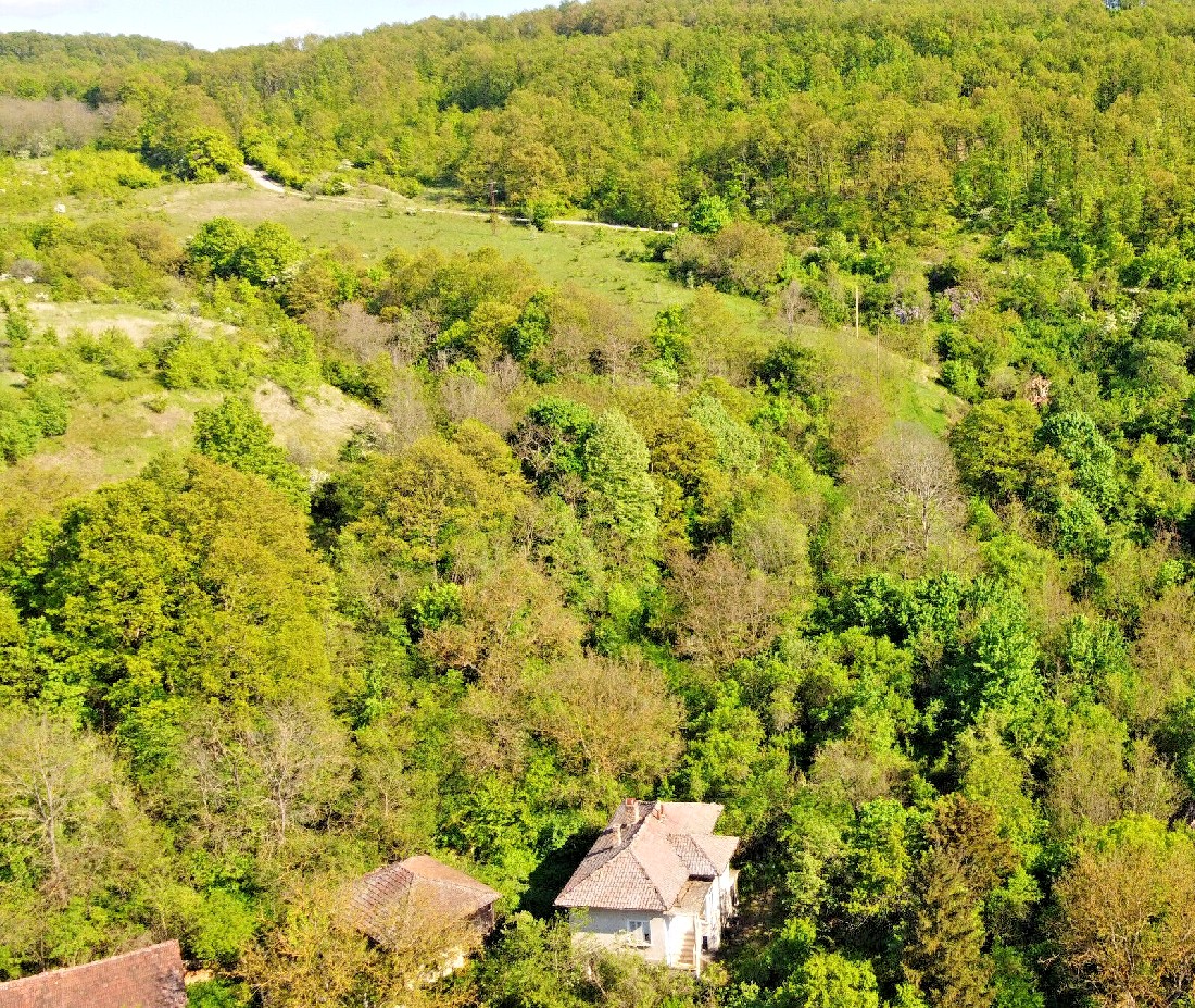 realestateinbulgaria