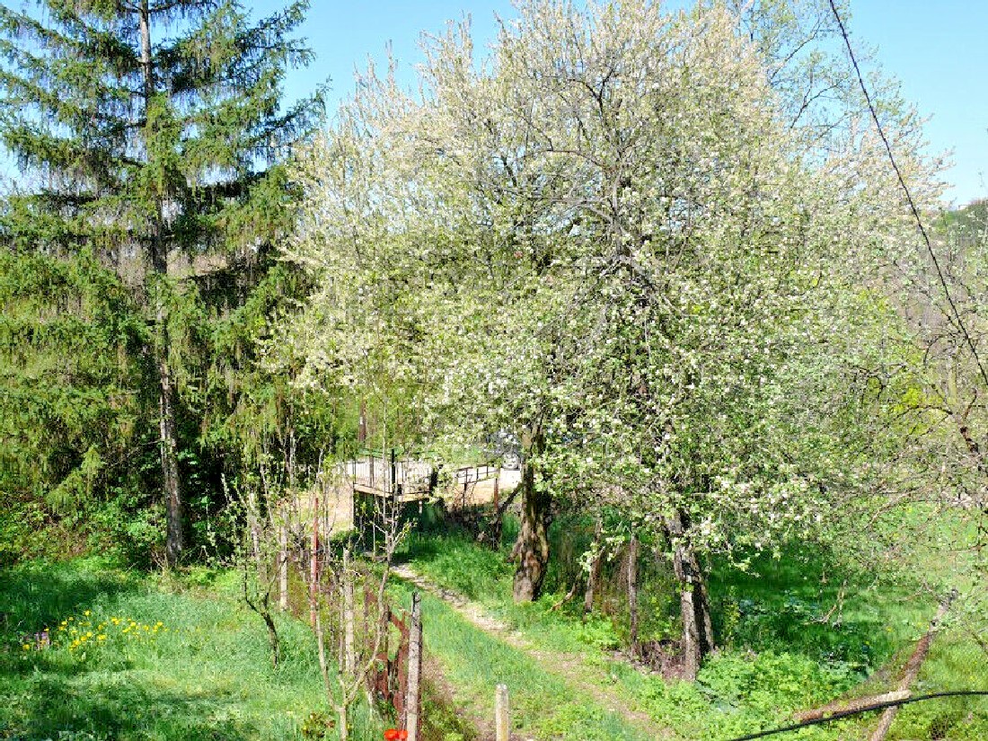 realestateinbulgaria