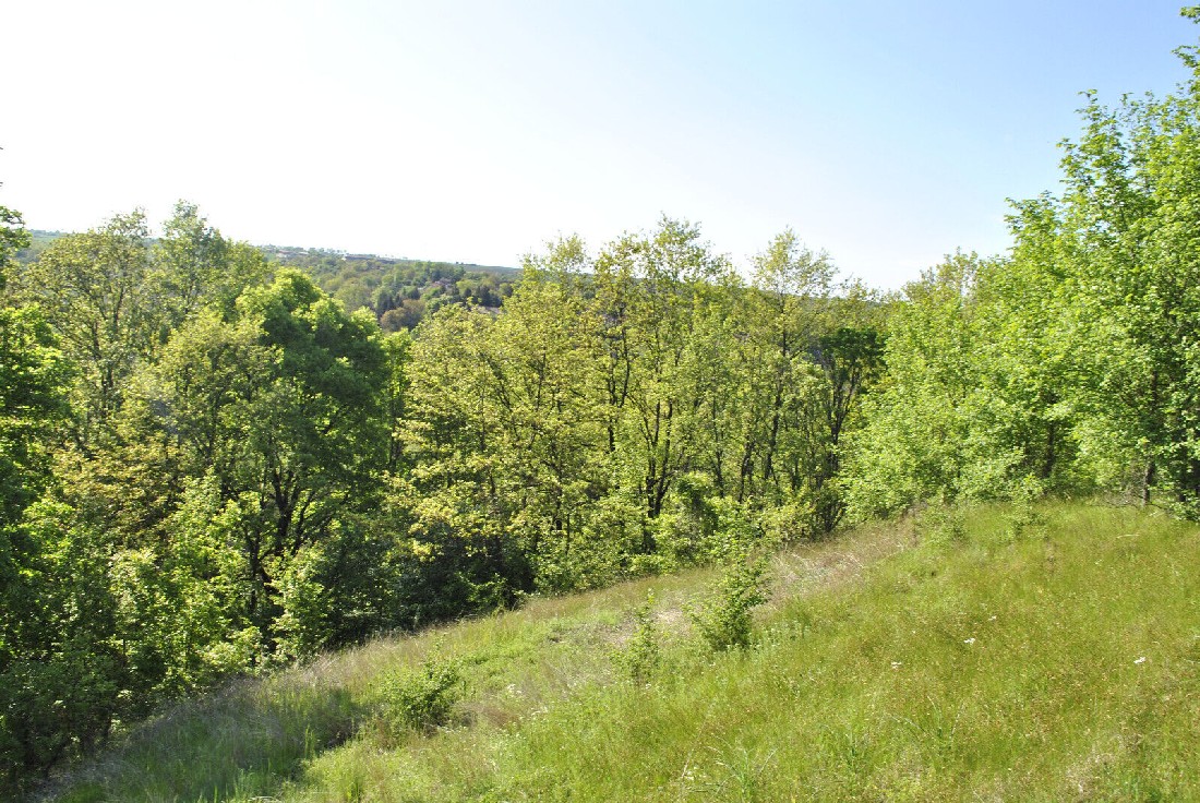 realestateinbulgaria