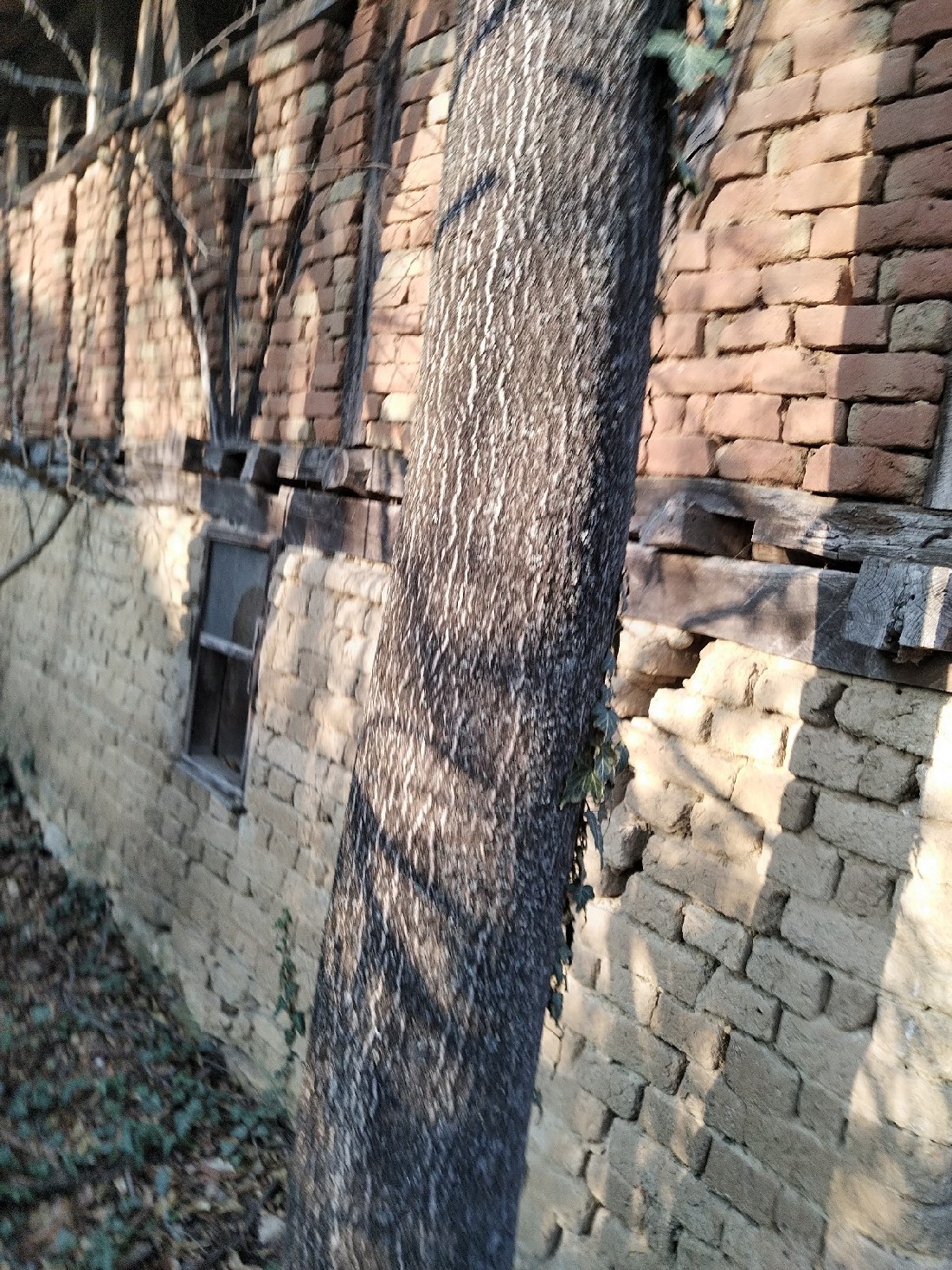 realestateinbulgaria