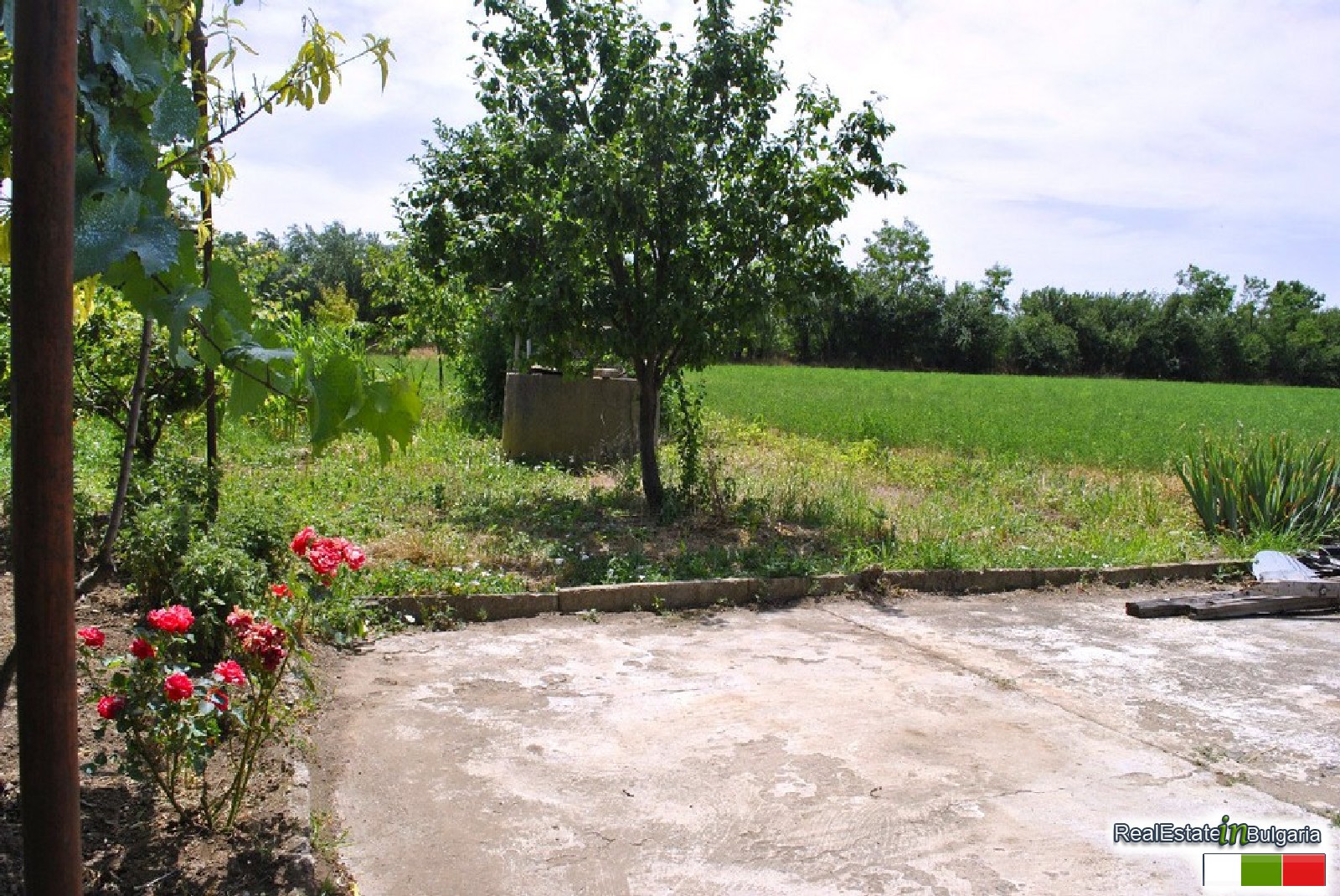 realestateinbulgaria.com rural bulgarian properties