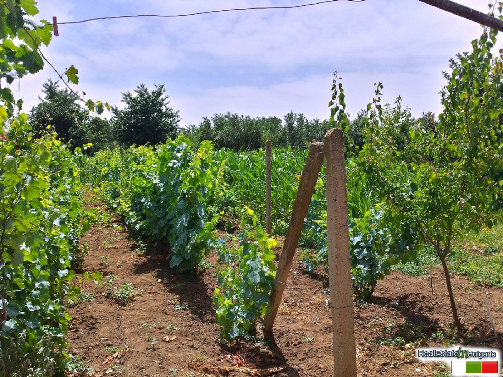 realestateinbulgaria.com rural bulgarian properties