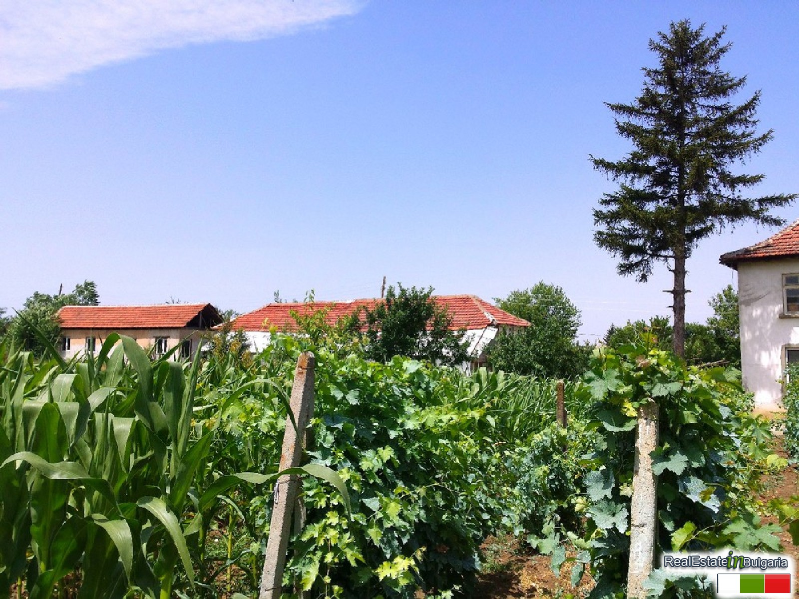 realestateinbulgaria.com rural bulgarian properties
