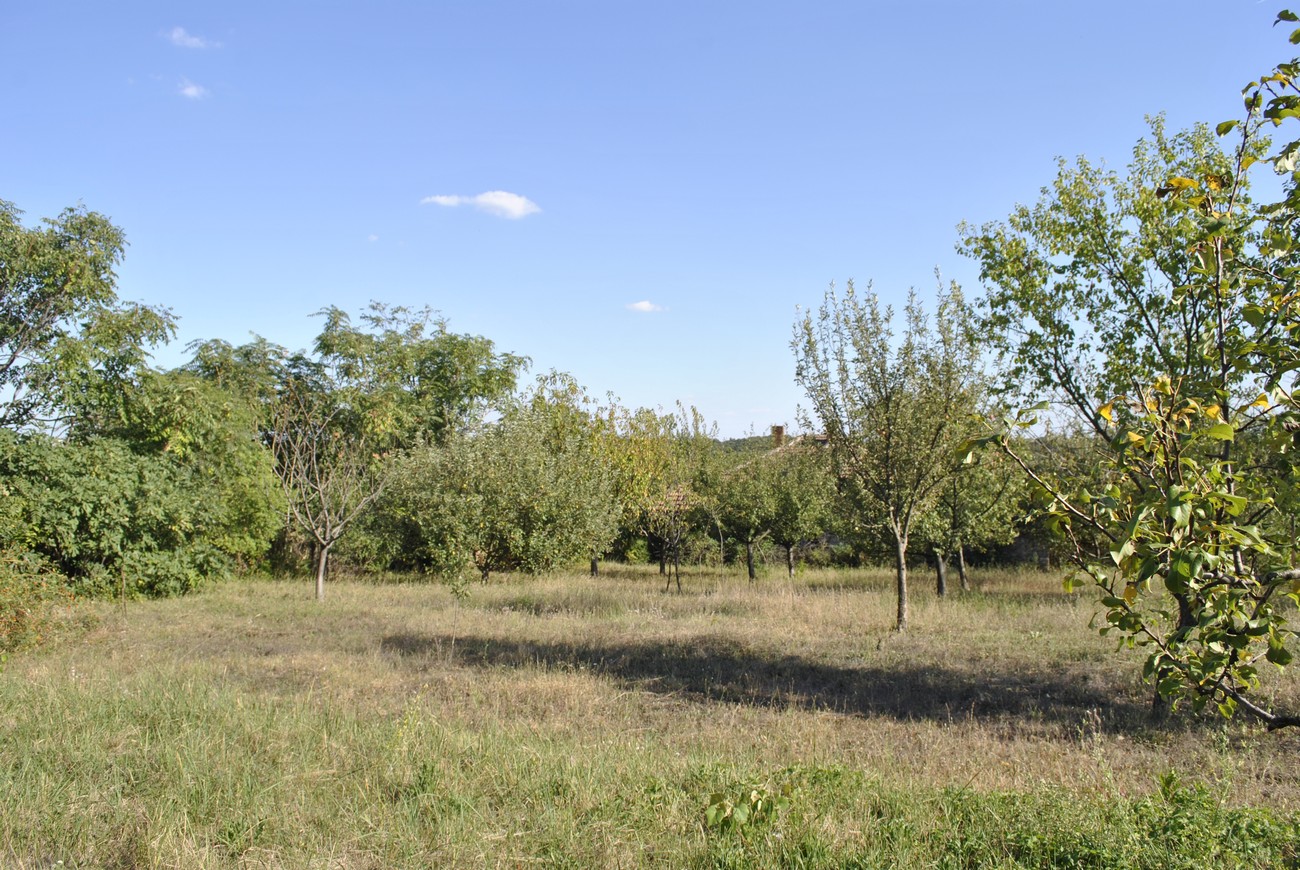 realestateinbulgaria