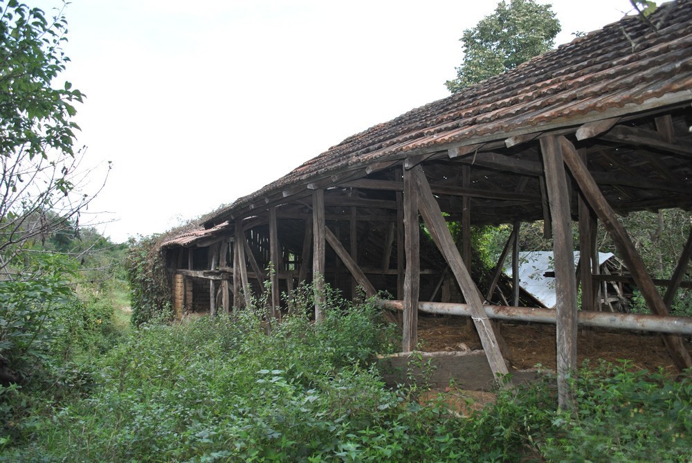 realestateinbulgaria