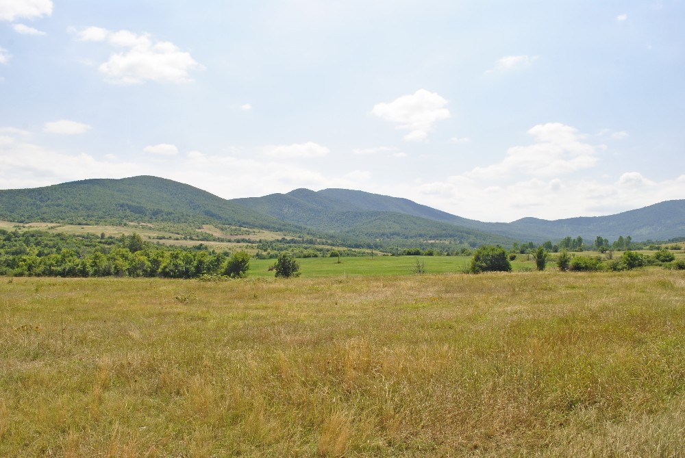realestateinbulgaria
