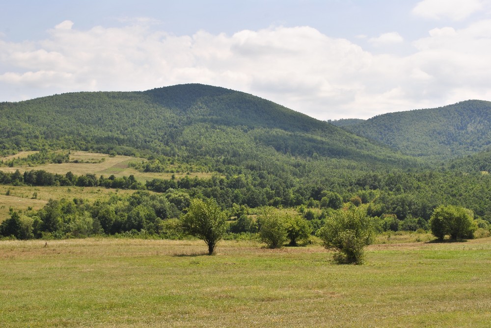 realestateinbulgaria