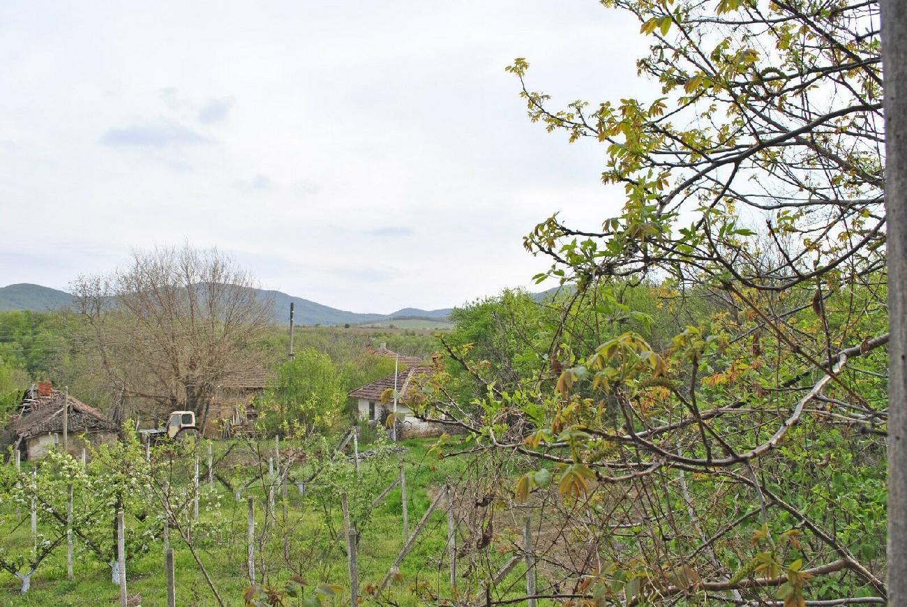 realestateinbulgaria